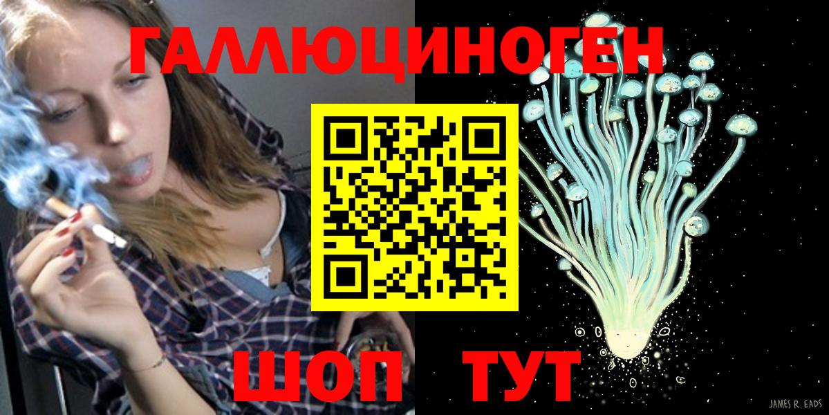 Псилоцибиновые грибы Psilocybe Мценск