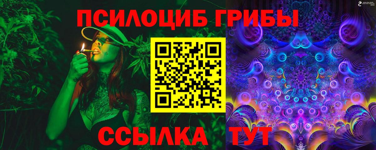 Галлюциногенные грибы Cubensis  Вход с VPN  Псилоцибиновые грибы MAGIC MUSHROOMS  Мценск 